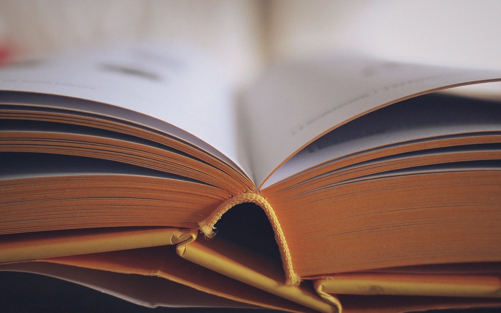 Close-up of an open book's spine showing stitched binding and stacked pages